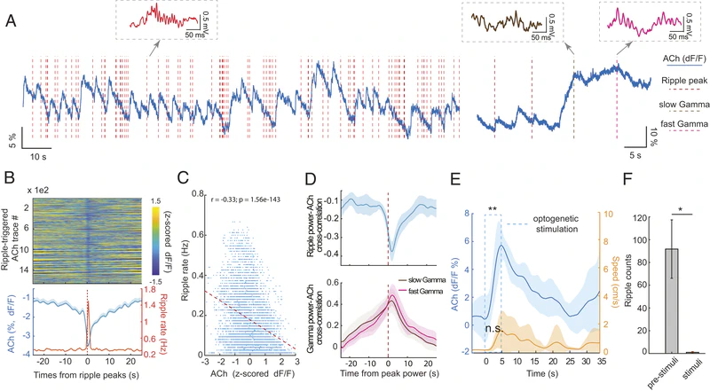 images/pnas/03.jpg