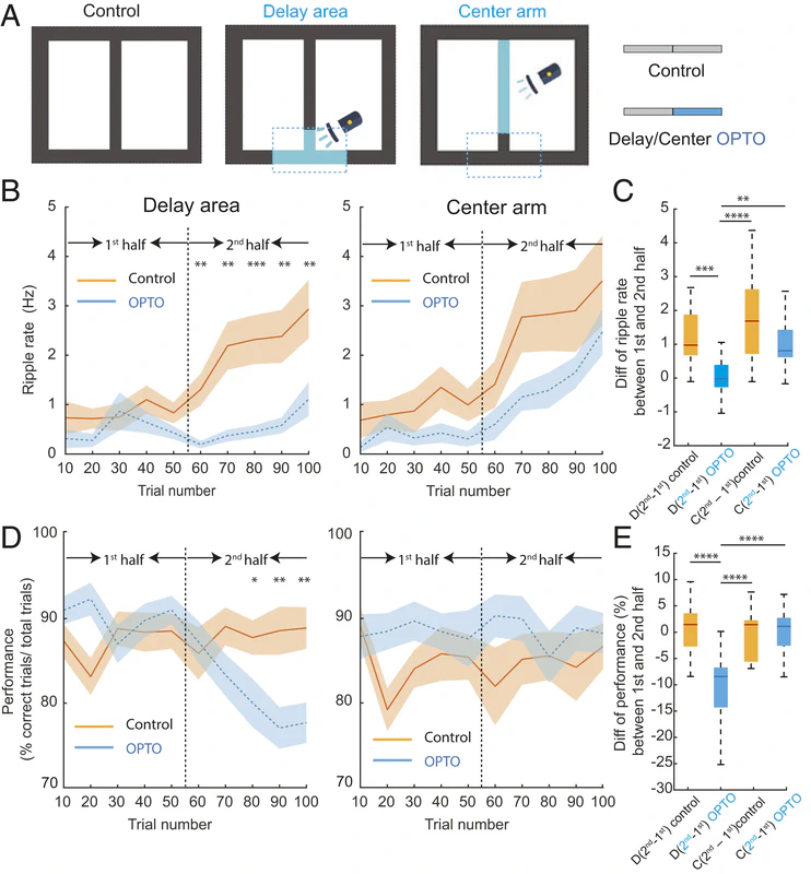 images/pnas/05.jpg